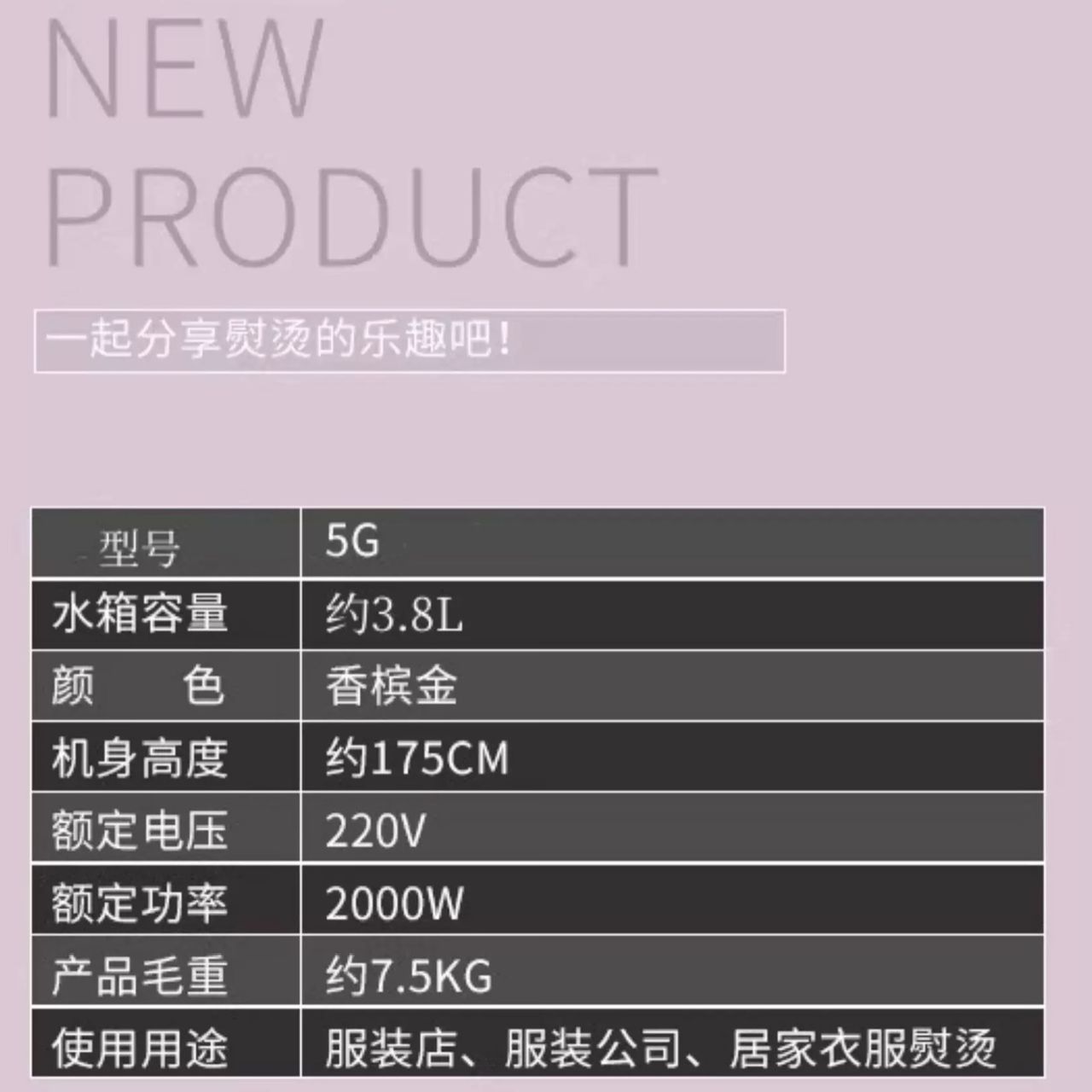 Professional Garment Steamer