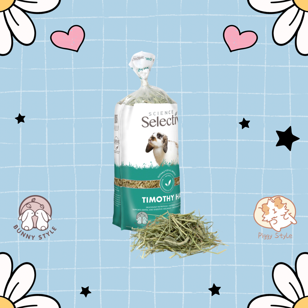 英國 Supreme 科學精選提摩西草 400g Selective Science Timothy Hay 400g