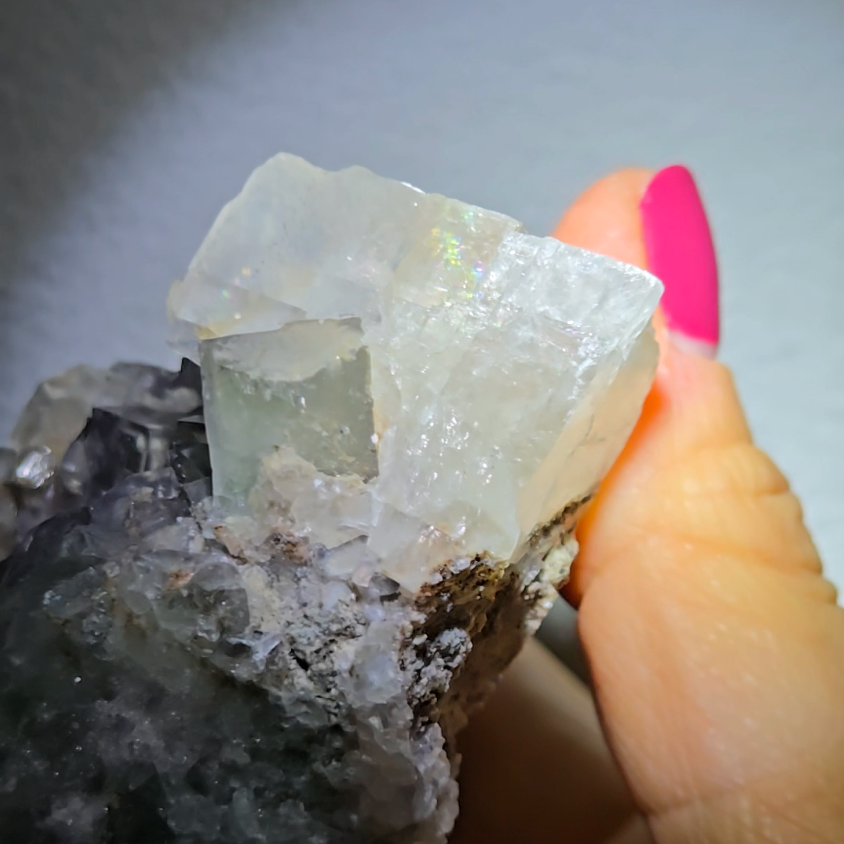 Cubic fluorite with UV-reactive calcite - FL216
