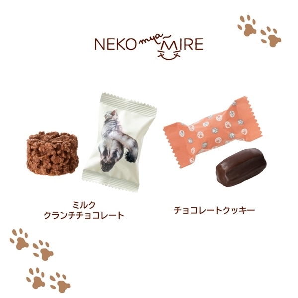 日本 Mary’s NEKO 貓貓朱古力 袋+朱古力5粒