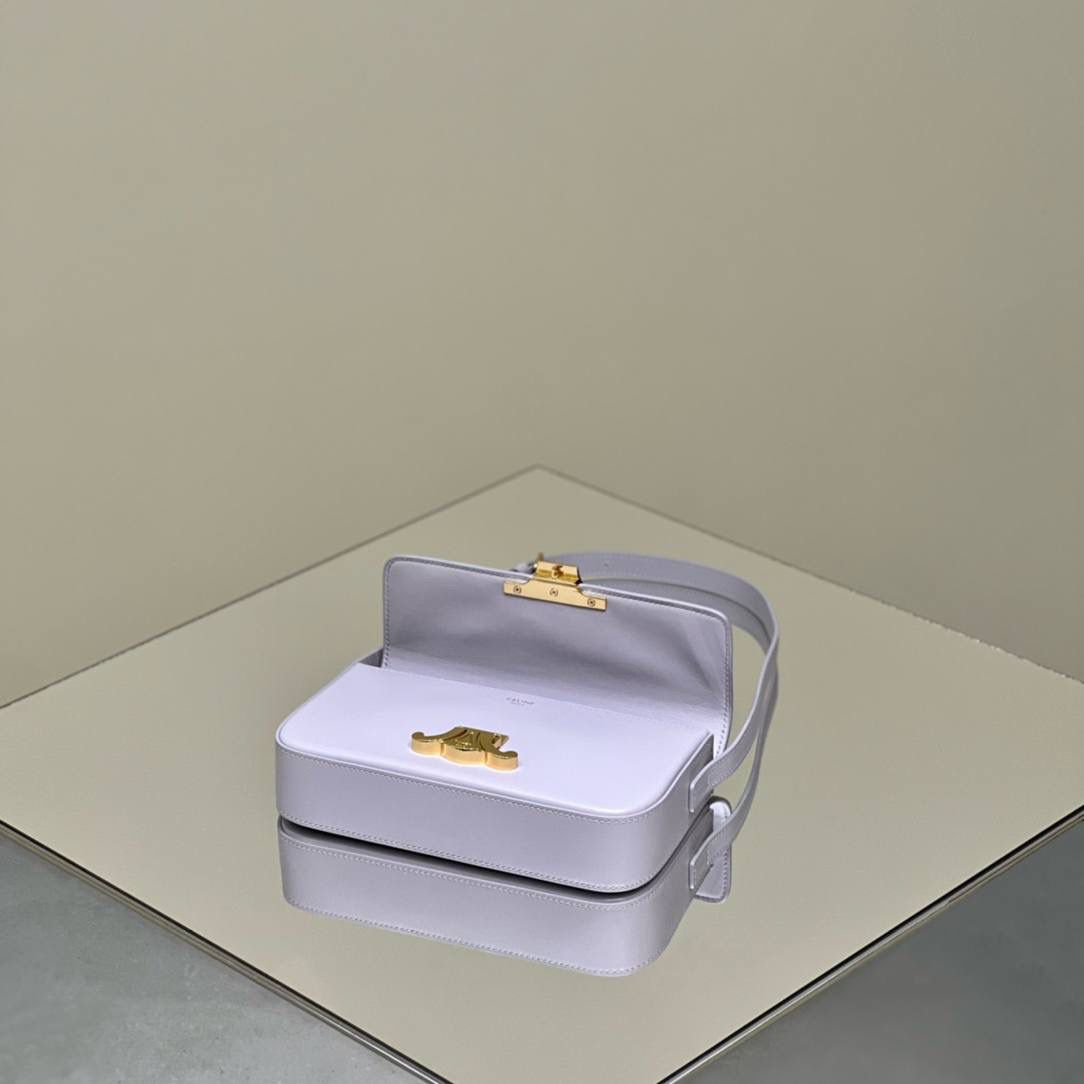 🔥大货实拍图 𝗖𝗘𝗟𝗜𝗡𝗘 ♥ 𝗧𝗥𝗜𝗢𝗠𝗣𝗛𝗘 𝗦𝗛𝗢𝗨𝗟𝗗𝗘𝗥 𝗕𝗔𝗚 型号：194143 尺寸：20*10*4cm