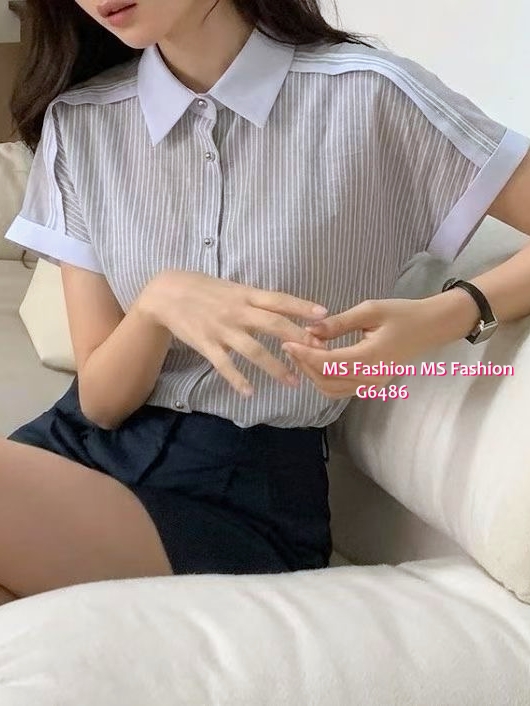 G6486 高質靚料條子恤