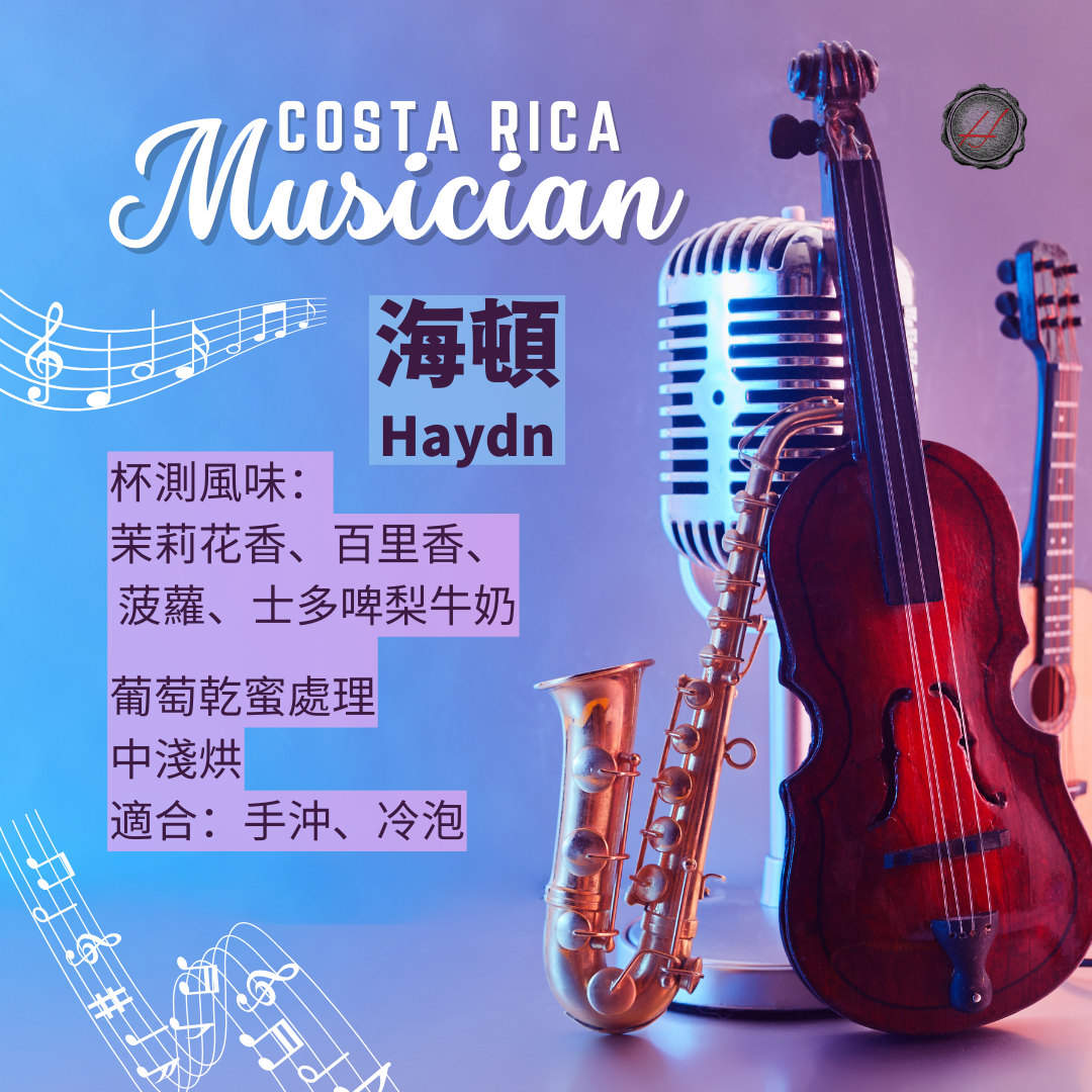 Musician 音樂家 海頓 巴哈