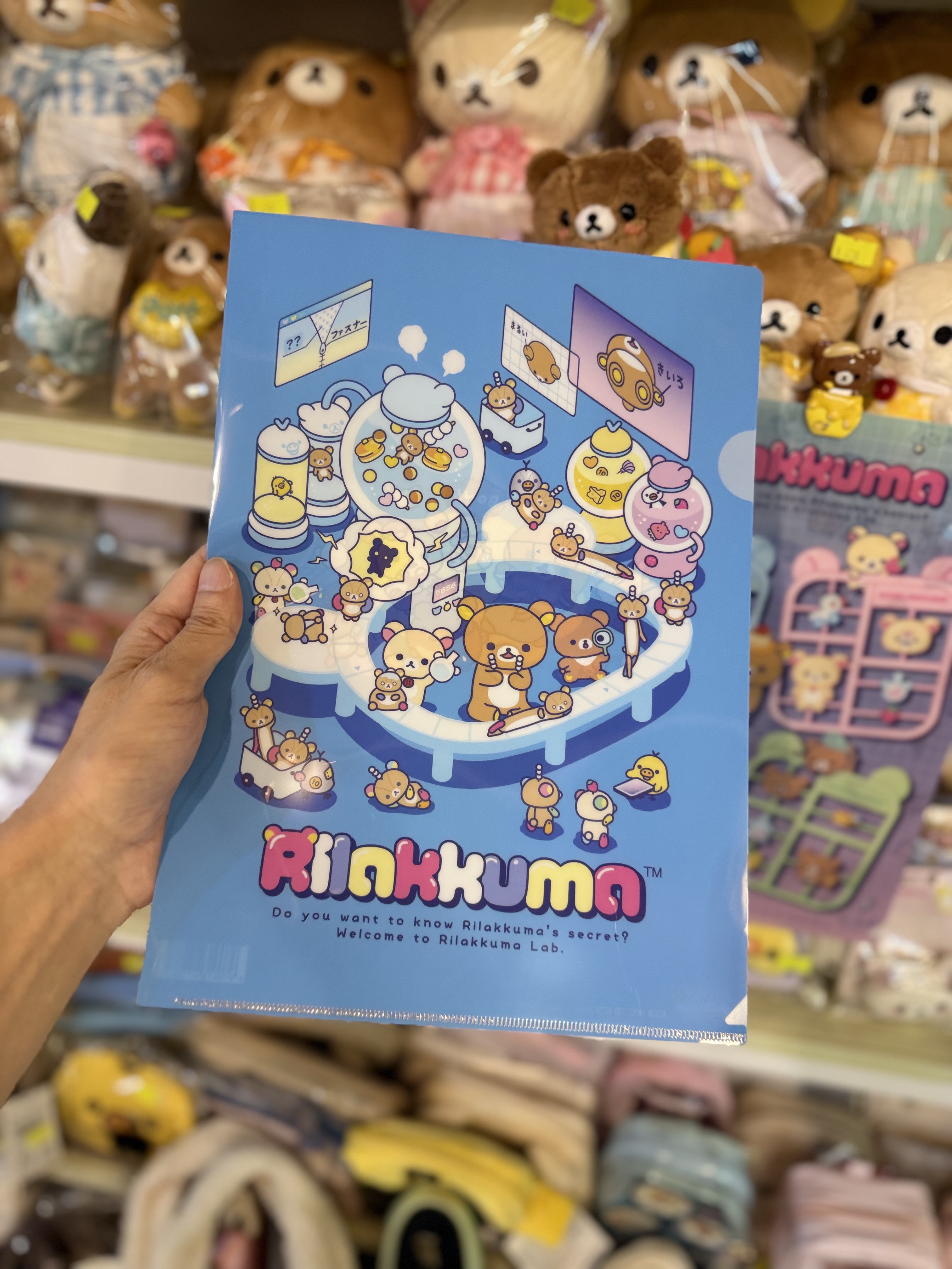 《現貨》全新rilakkuma 實驗室系列A4 單頁file