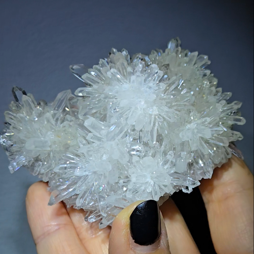 Chrysanthemum needle quartz with floral blooms, rainbows - CQ474