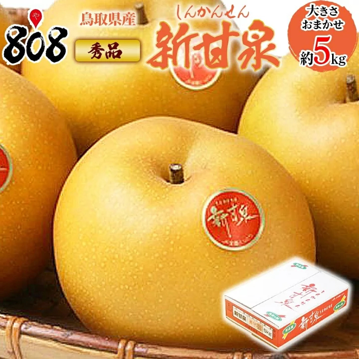 5kg 日本新甘泉梨（12/14玉）$598/箱
