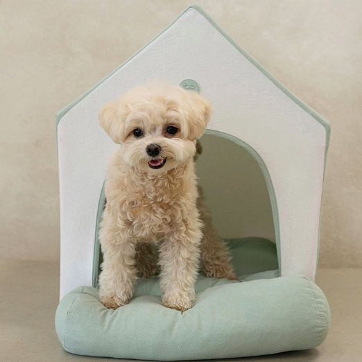 *SuperPet🇰🇷棉質全包式寵物小屋 (Cotton House)🐾