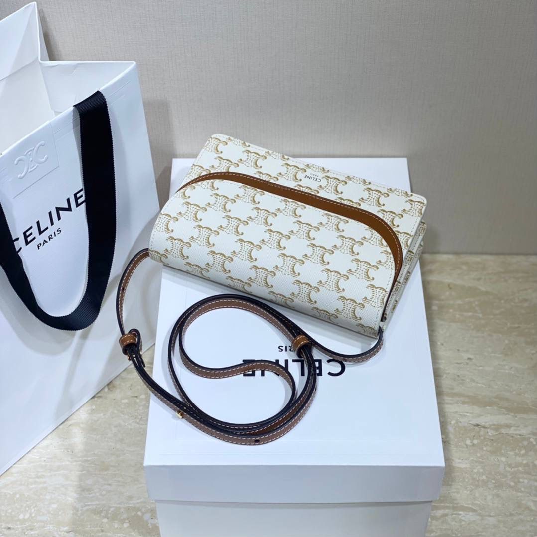 🔥大货实拍图 𝗖𝗘𝗟𝗜𝗡𝗘 ♥ 𝗖𝗔𝗡𝗩𝗔𝗦 𝗪𝗢𝗖风琴包 型号：10D852 尺寸：20*11.5cm