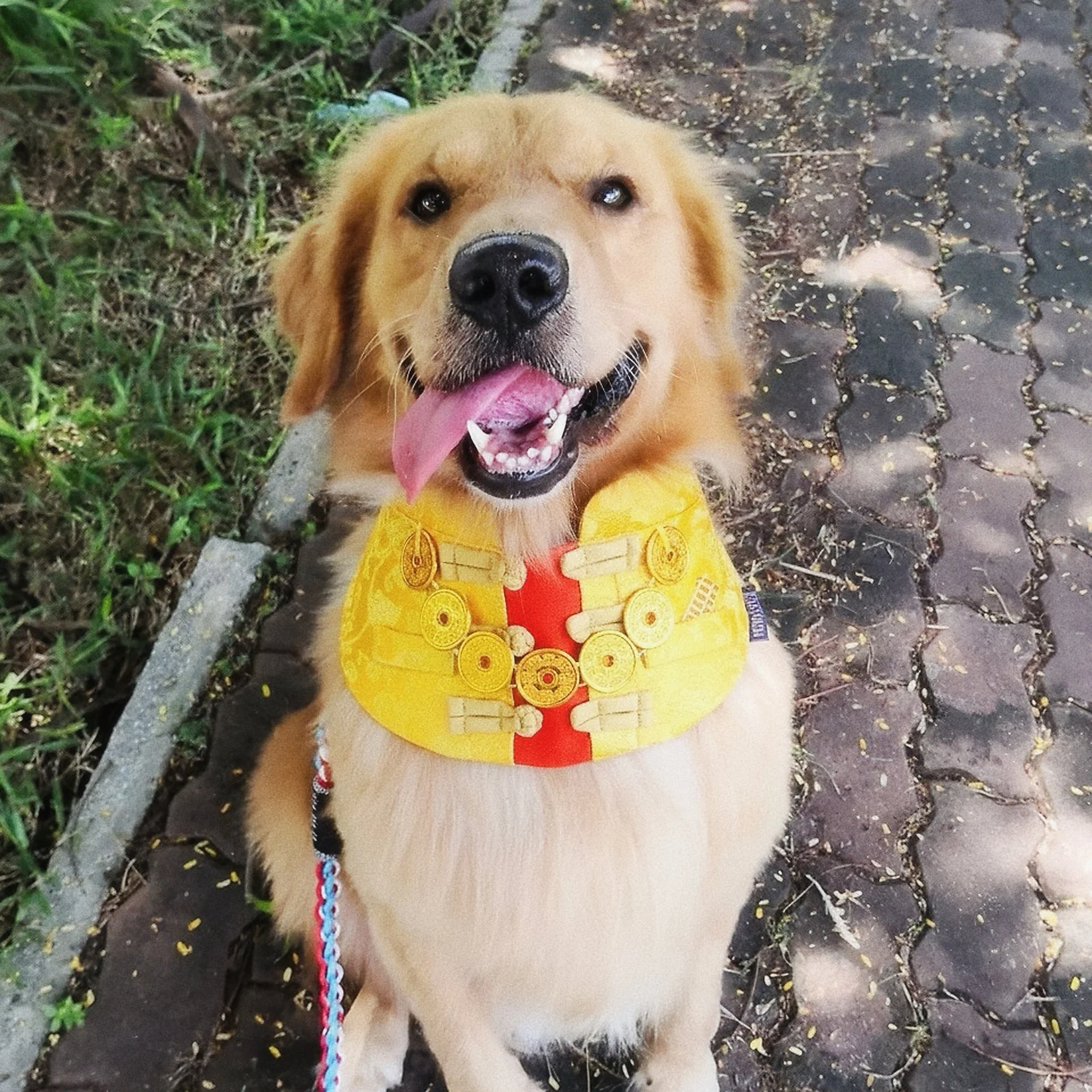 MOMOJI Amulet 金寶