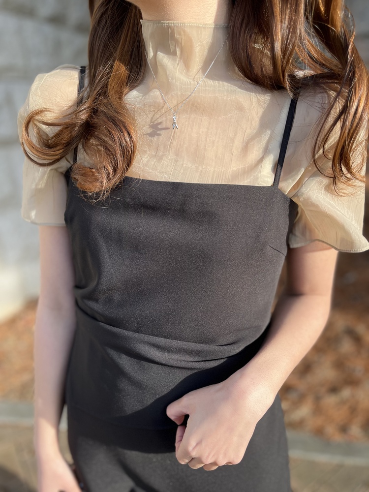 Airy Sheer Crinkle Top (Brown)