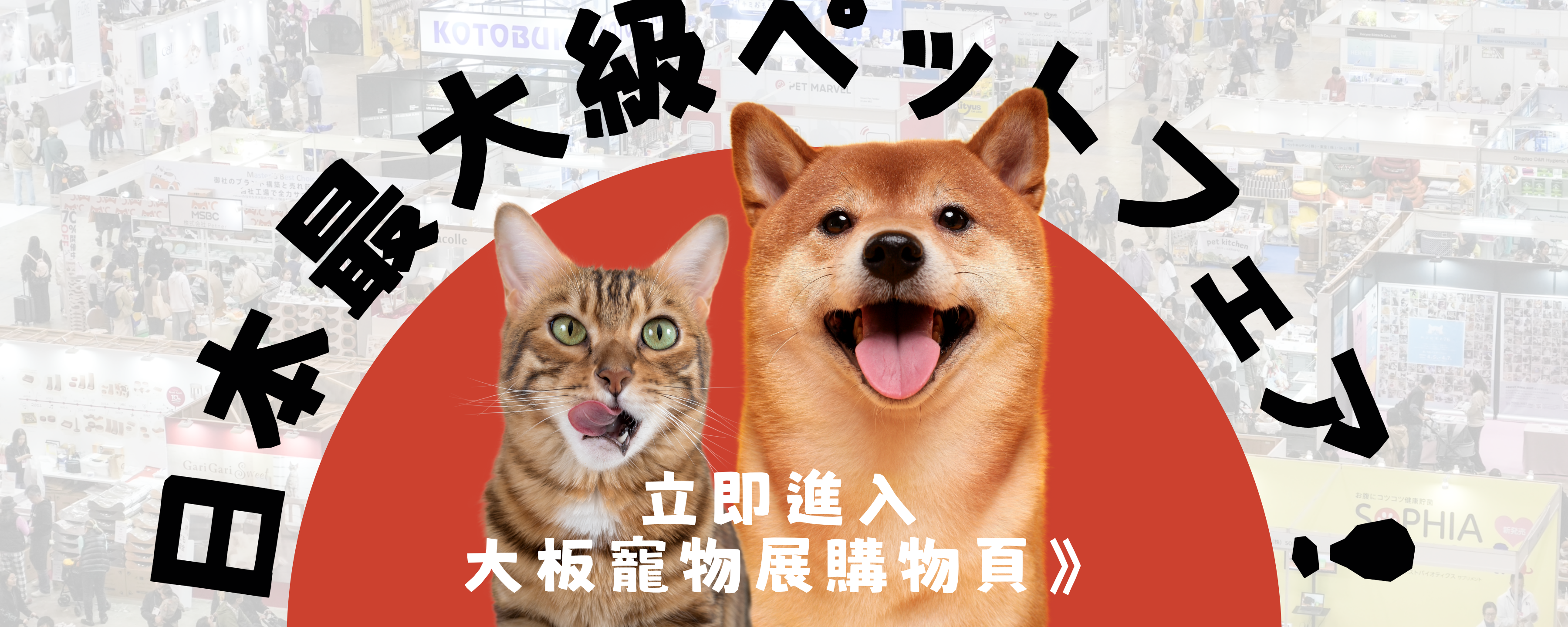 Desktop image
