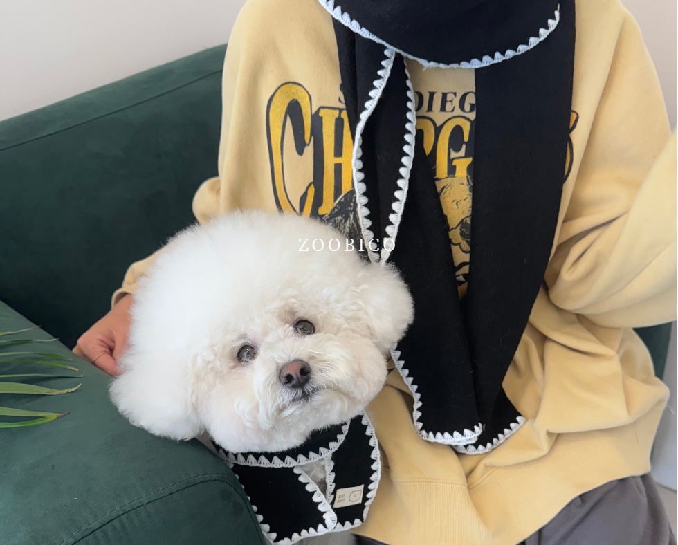 🇰🇷100% 純羊毛冬季暖心圍巾 (主人與毛孩親子組)