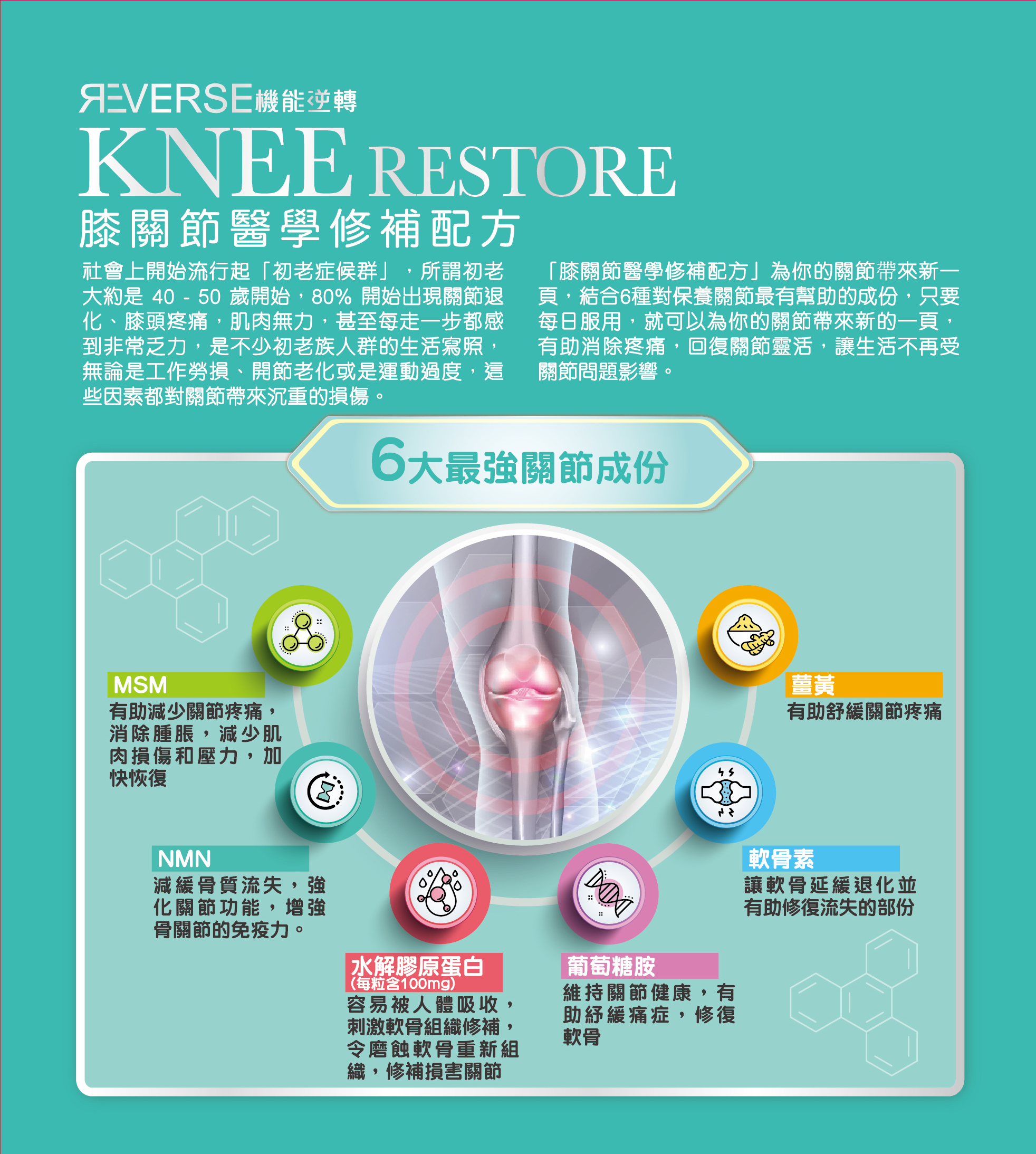 🩵蟲草大王旗下品牌🥂Reverse 機能逆轉膝關節修補配方🩵
