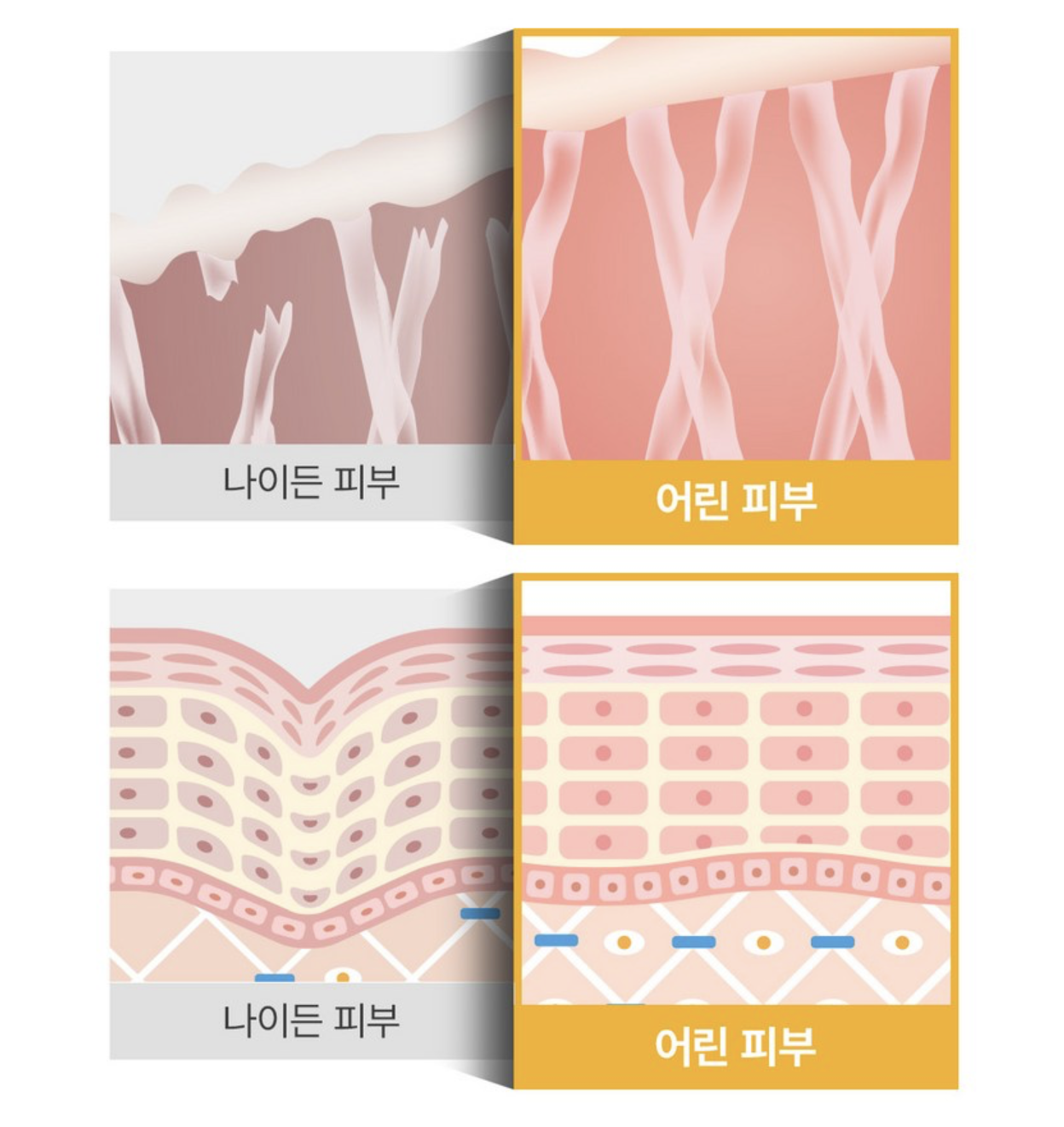 韓國 SUNGBOON 深層膠原蛋白 凍齡美白 溶化貼 3 款專用型號｜Deep Collagen Melting Patch