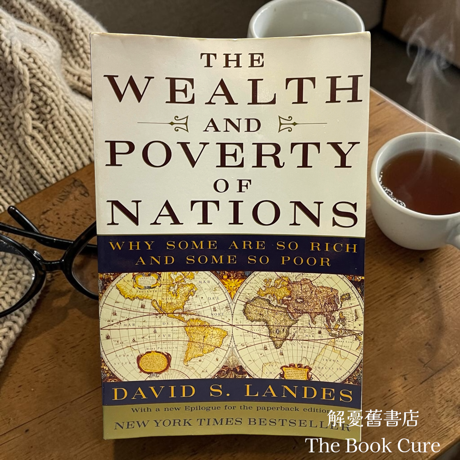The Wealth and Poverty of Nations: Why Some Are so Rich and Some So Poor /  by David S. Landes
