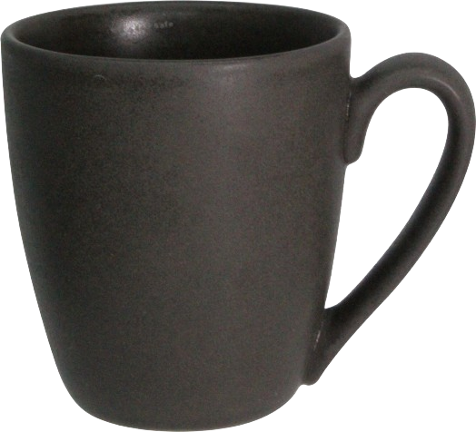 Fusion TMF70 Mug 360ml
