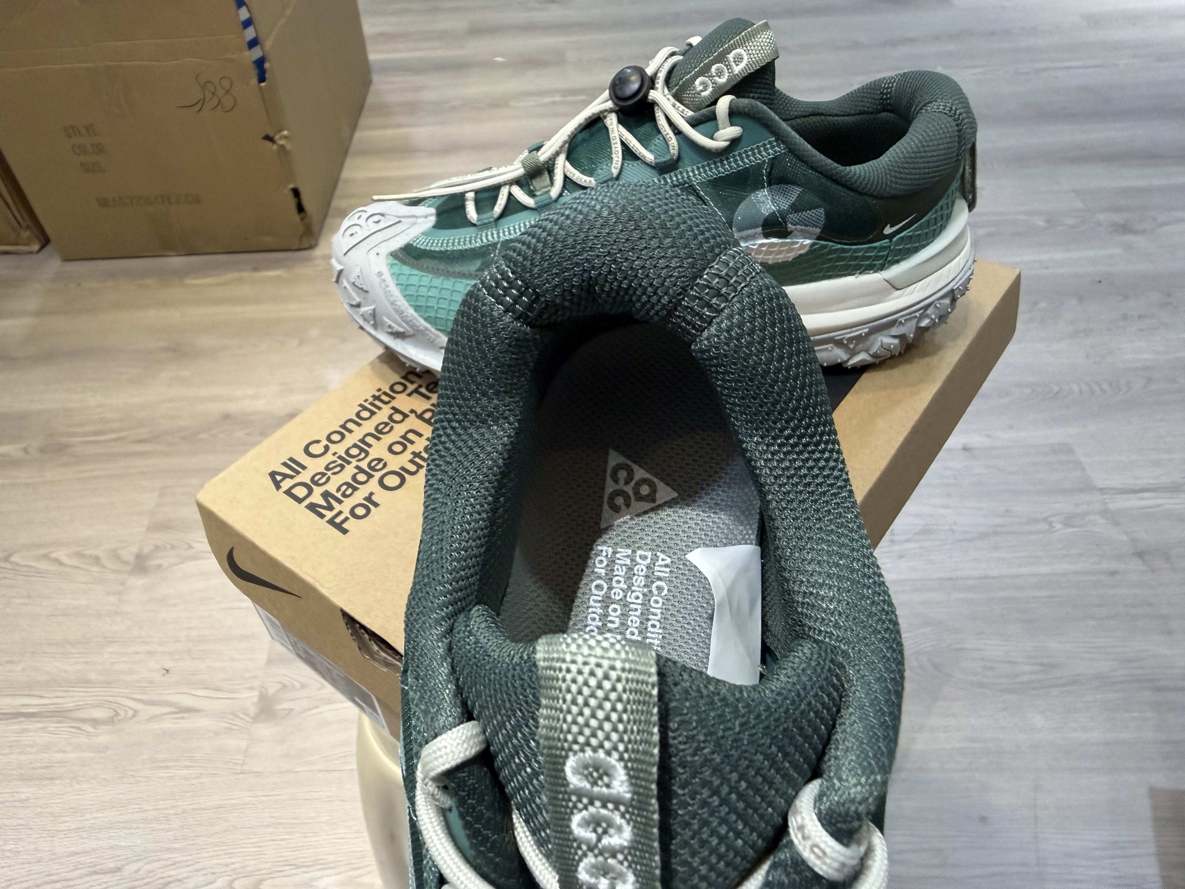 Nike ACG Mountain Fly 2 Low