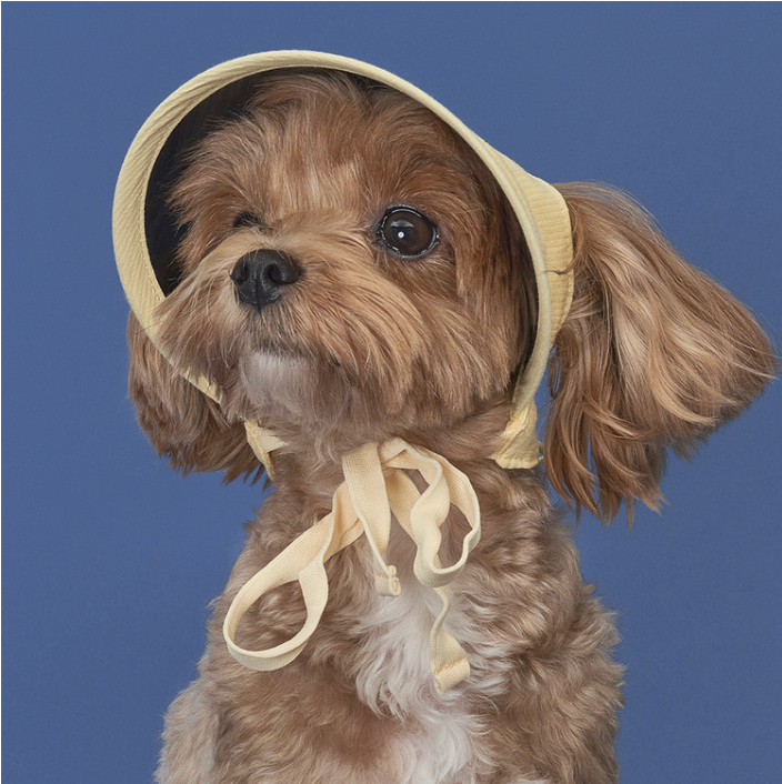 *Super Pet🇰🇷UV防曬寵物太陽帽 (DG017)