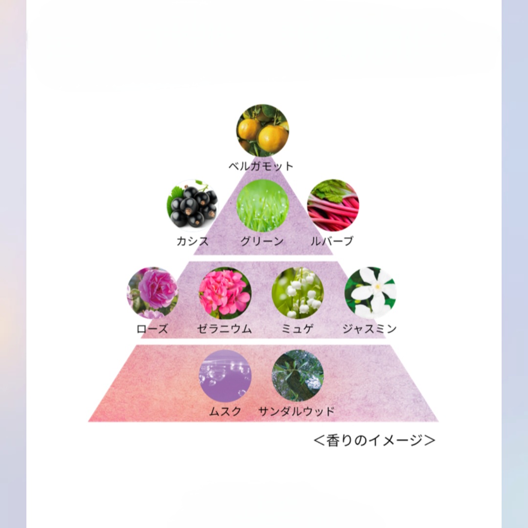 【26年3月新品】【✨️日本🇯🇵 Kanebo DEW bright bounce milk 亮白彈潤乳液✨️】80ml 