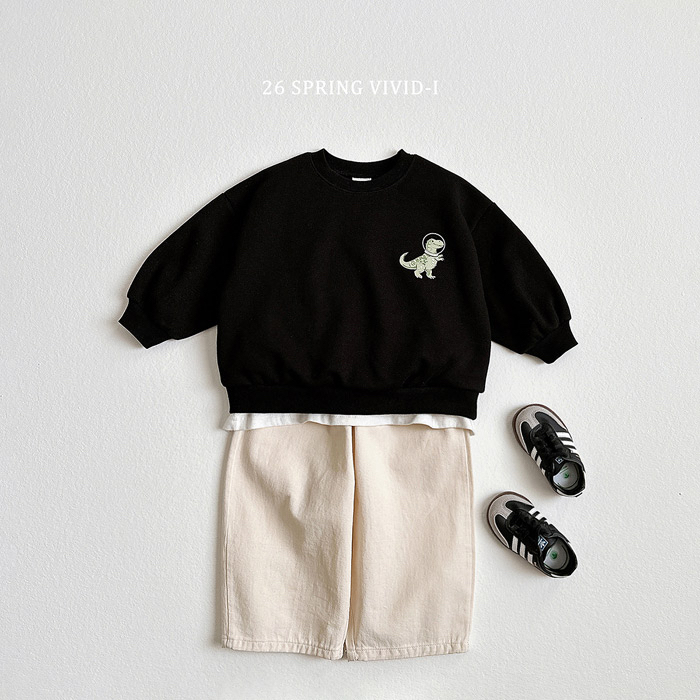 🇰🇷vivid_i pants