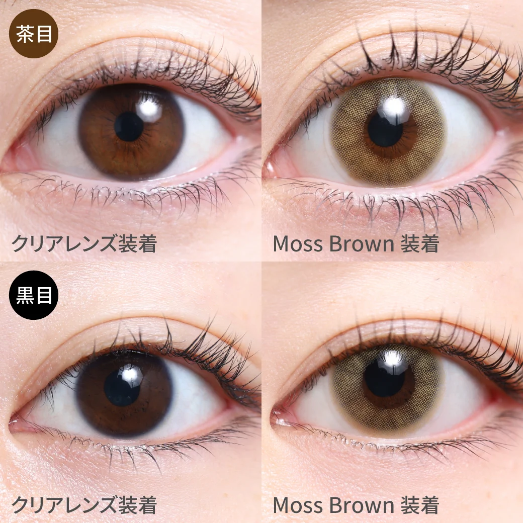 TeAmo - Moss Brown (1day/10P)
