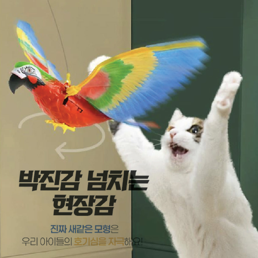 會飛的鸚鵡逗貓玩具
