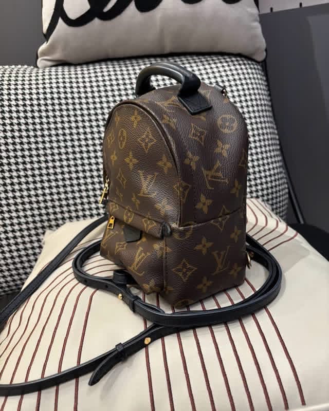 Lv mini Palm Springs backpack  100%Authentic, 95%New ✅Dust bag