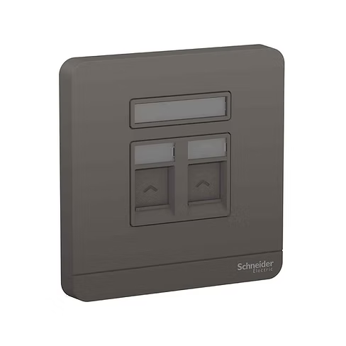 施耐德 AvatarOn 石墨灰 孖位 CAT5E數據插座