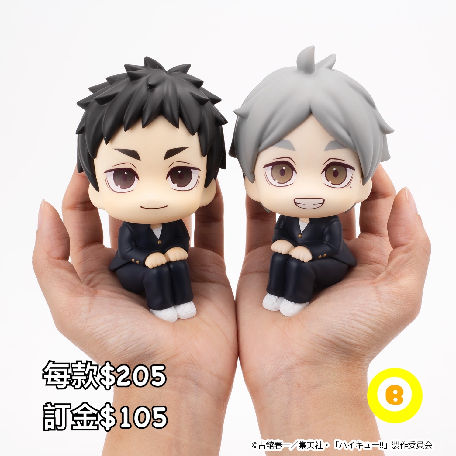 Preorder預訂11/2026年排球少年look up-