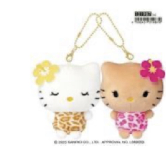 現貨｜銷量過300隻♡夏威夷/關島地區特別版黑皮掛件♡