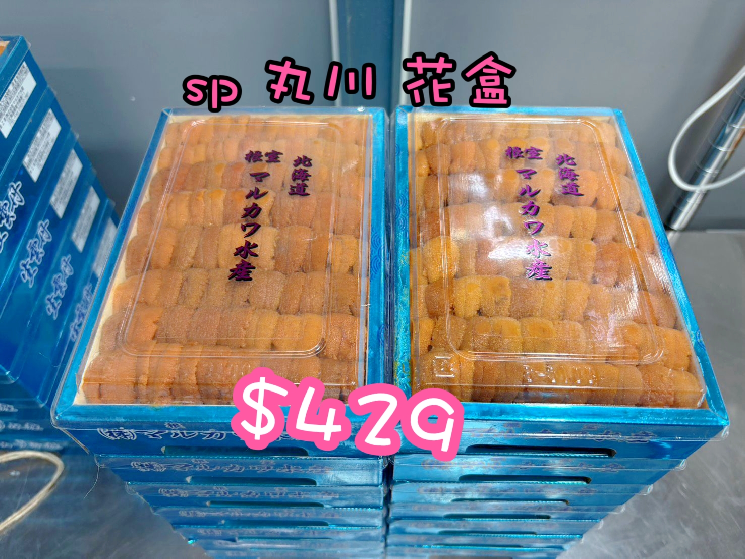 多款日本海膽  4月14日下午2時到貨