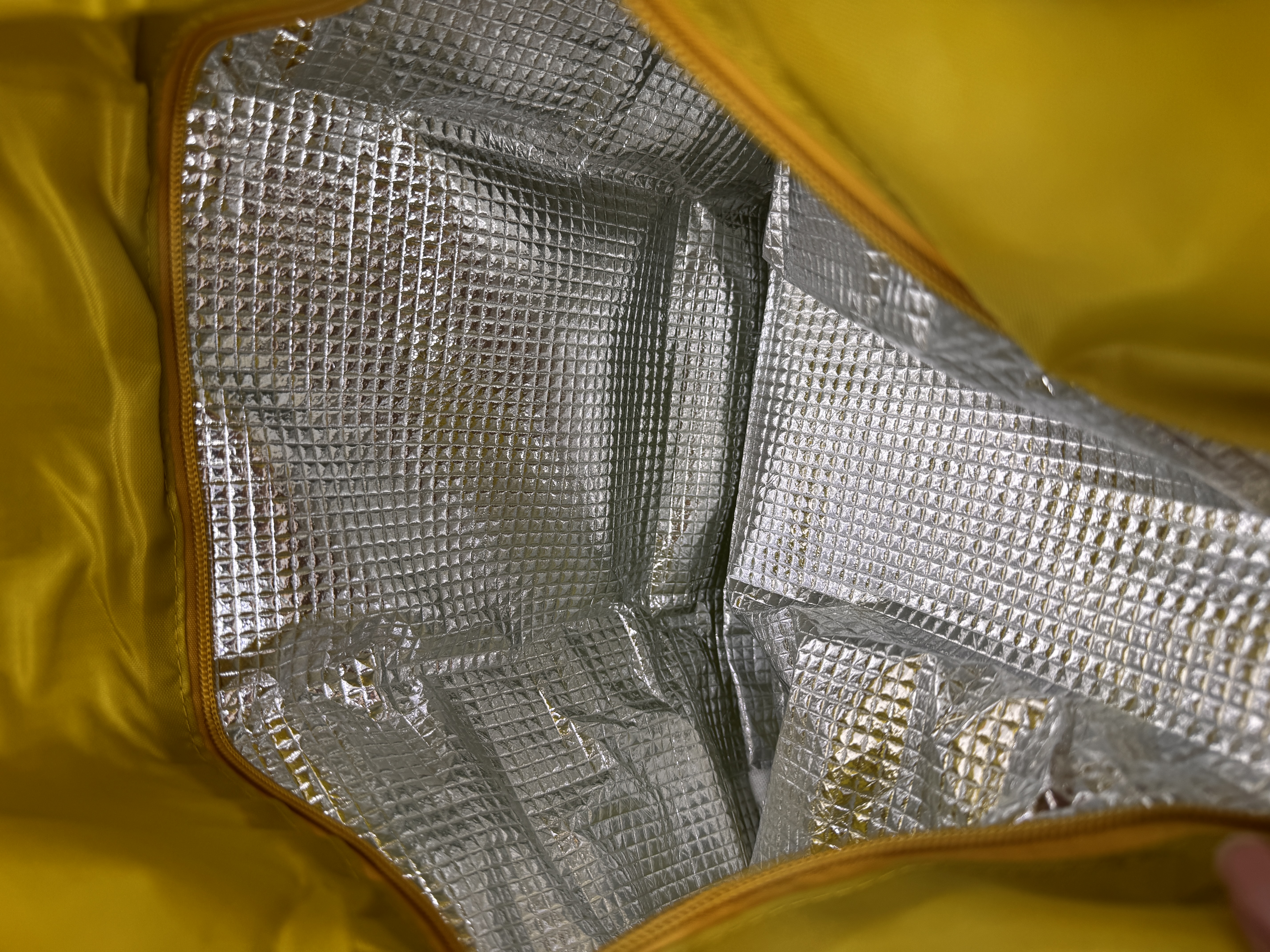 [現貨] [日本直送] 唐老鴨｜ Cooler Bag ｜ SIZE 46x58x15cm {TF2604018}