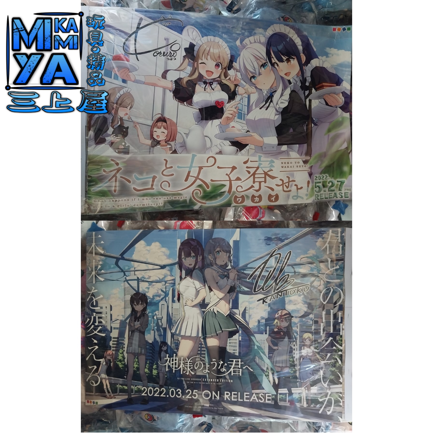 🇯🇵日版 B2海報收藏 雙面海報 宣傳海報 電腦遊戲 獻給神明般的你 Extended Edition & 貓與女子宿舍！ ※※※ [SKU:12993]