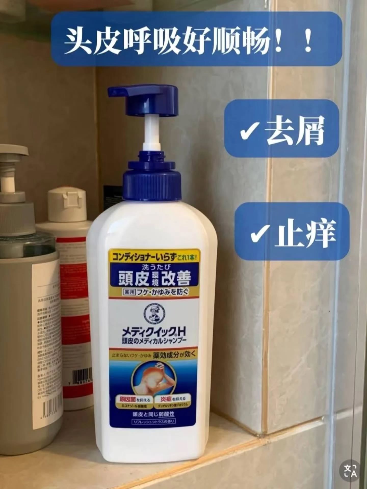 🇯🇵 乐敦 去屑止痒洗发 320ML