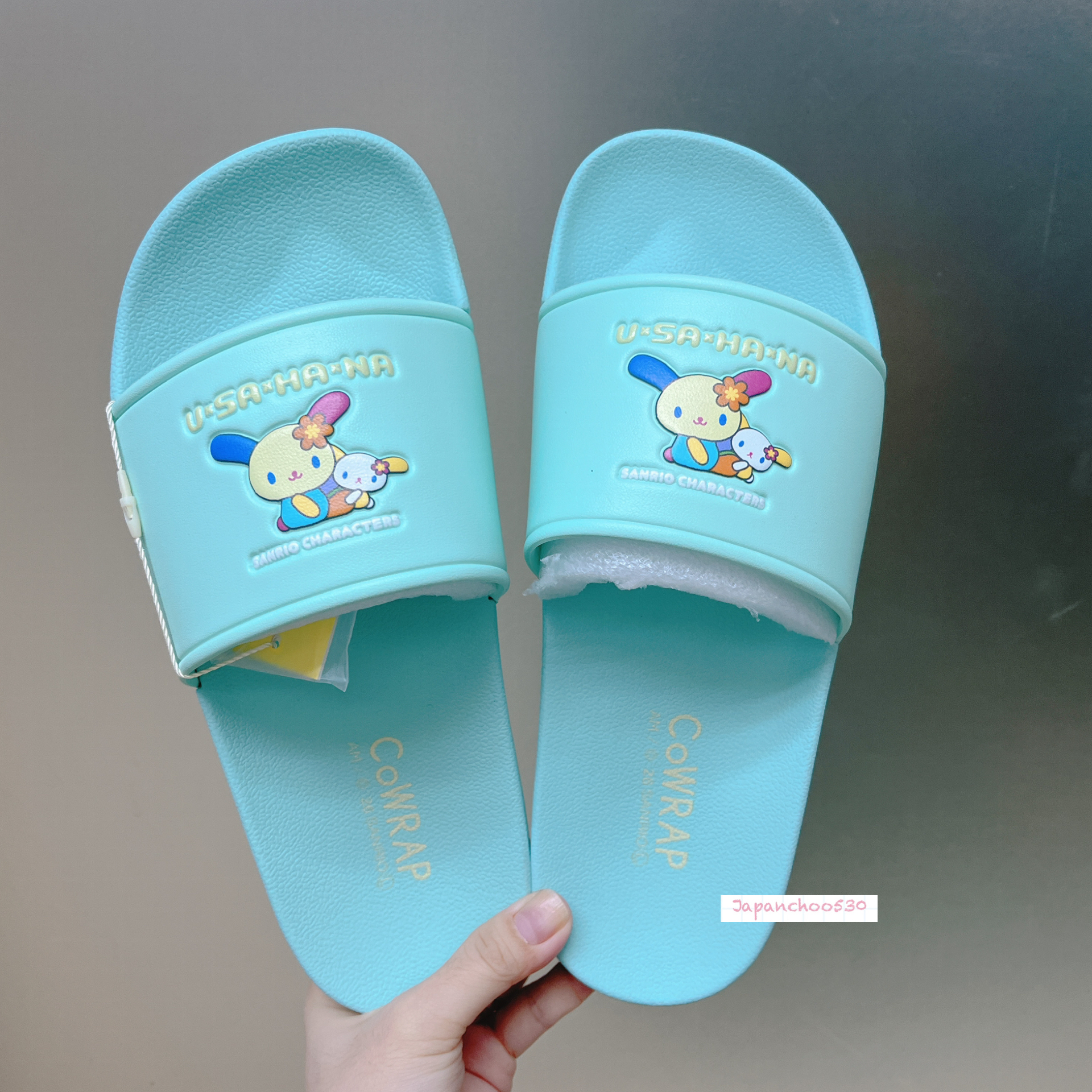 日本預訂📍日本Sanrio可愛圖案夏日拖鞋 1/4日本開售