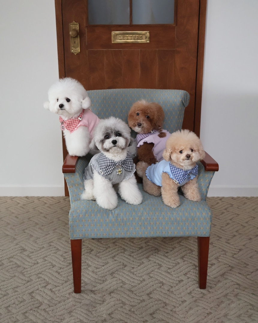 韓國🇰🇷 Blossom Cape + Custom Name Tag Set