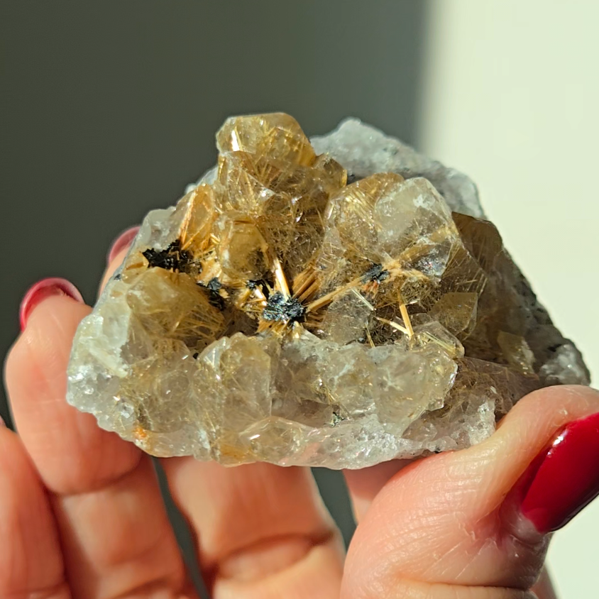 Golden starburst black hematite flower rutile quartz - RT1432