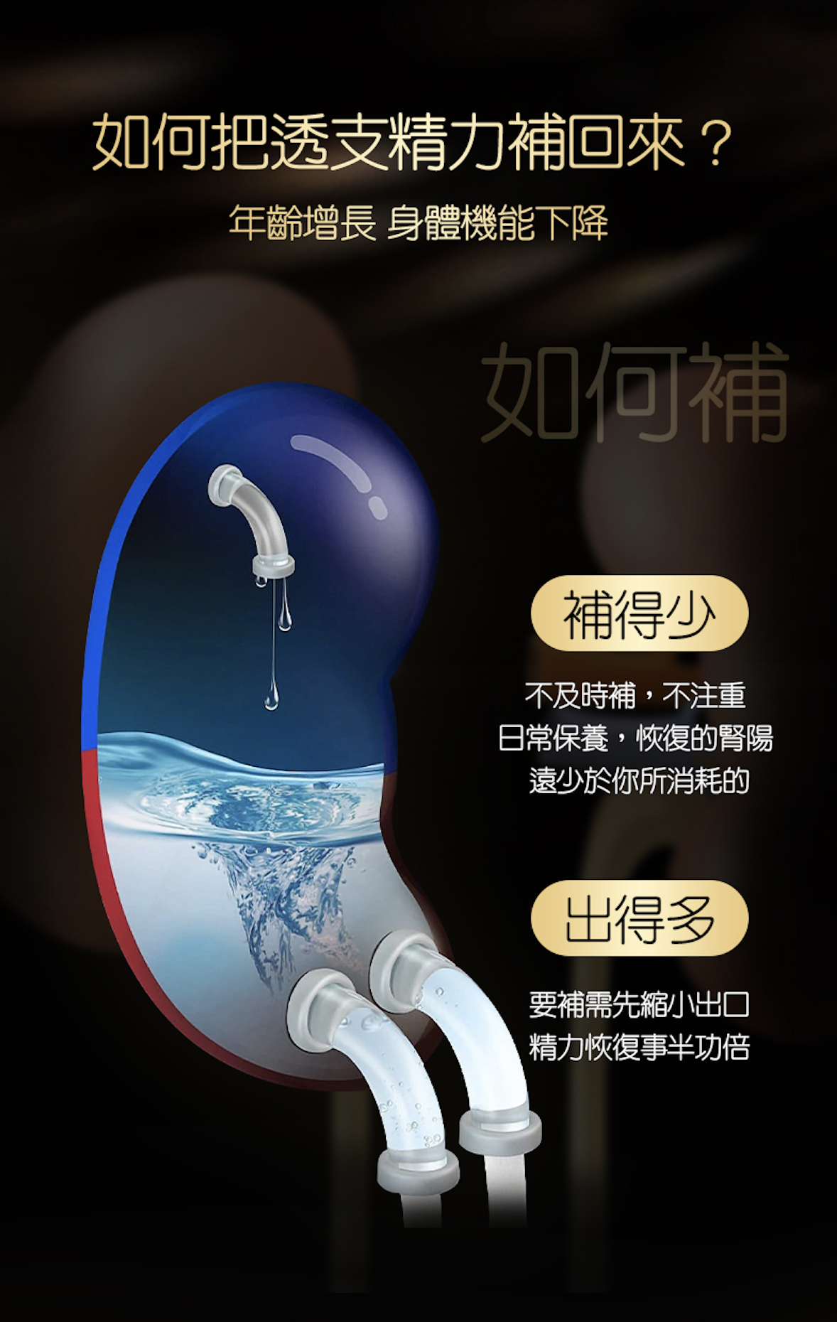 壯本 肉蓯蓉原漿 (30ml x 10支) *適合素食者