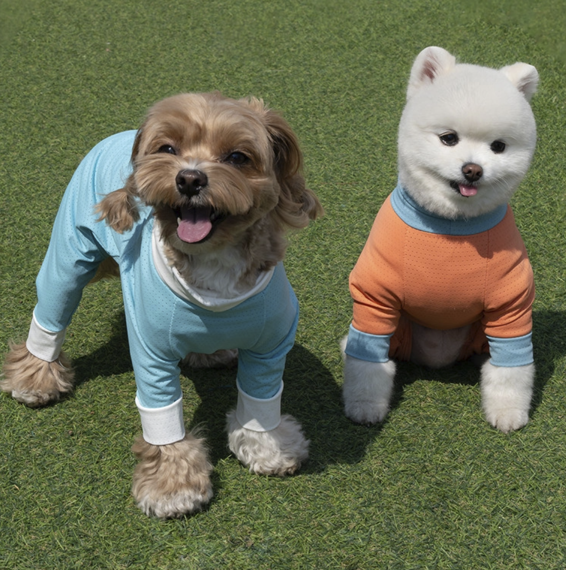 *SuperPet🇰🇷 狗狗全方位防護涼感連身衣(DG414)