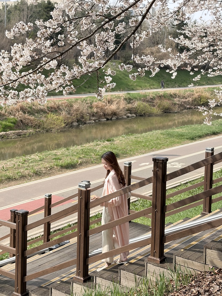 Silky Belted Trench Coat (Pink)