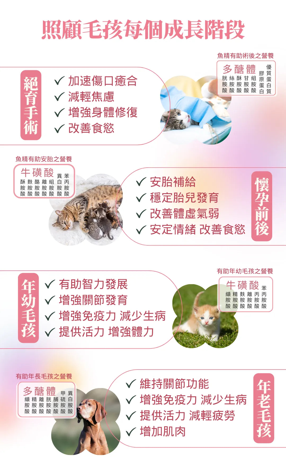 忌廉哥x日芳珍饌 寵物淬魚精 懷孕/術後修補 30mlx6