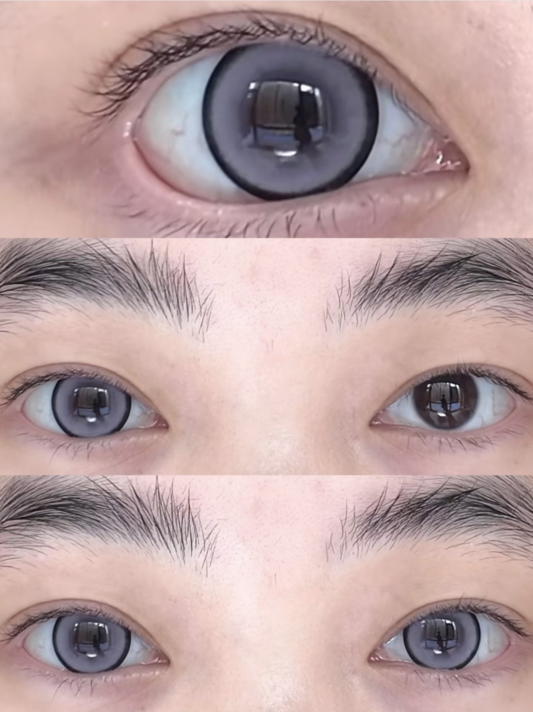 Cupid 日拋 火系紅/飛行藍/重生綠/草系綠/電系黃 經典十色系列