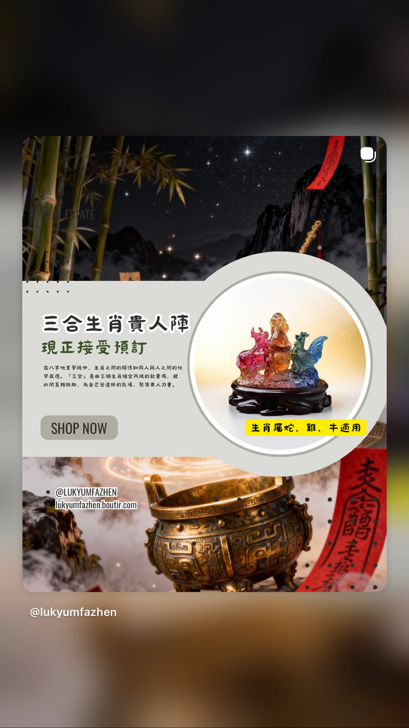 ［預訂］🔮☯️三合生肖貴人陣☯️🔮