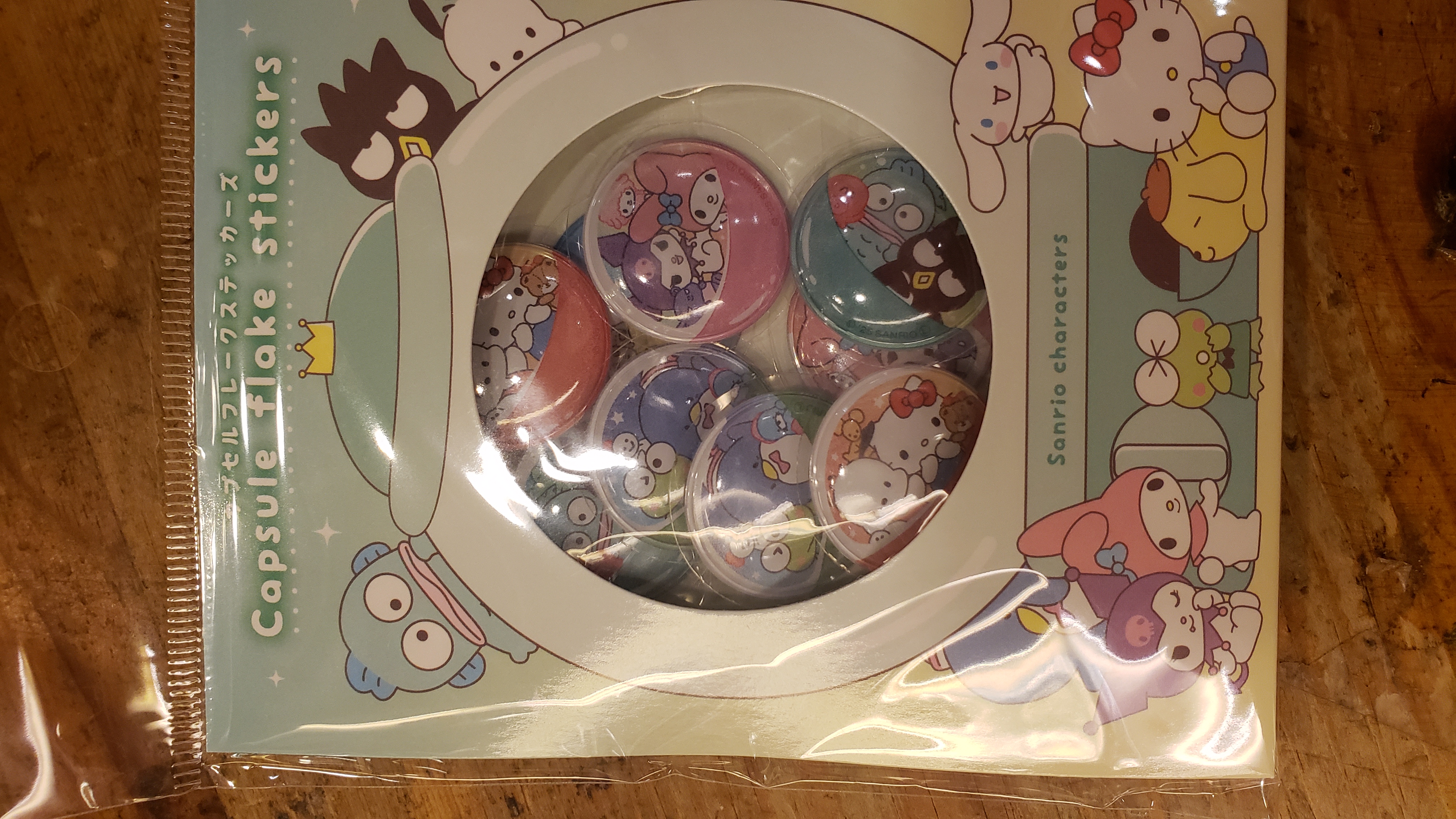 Sanrio characters 立體貼紙SR-5543901SH