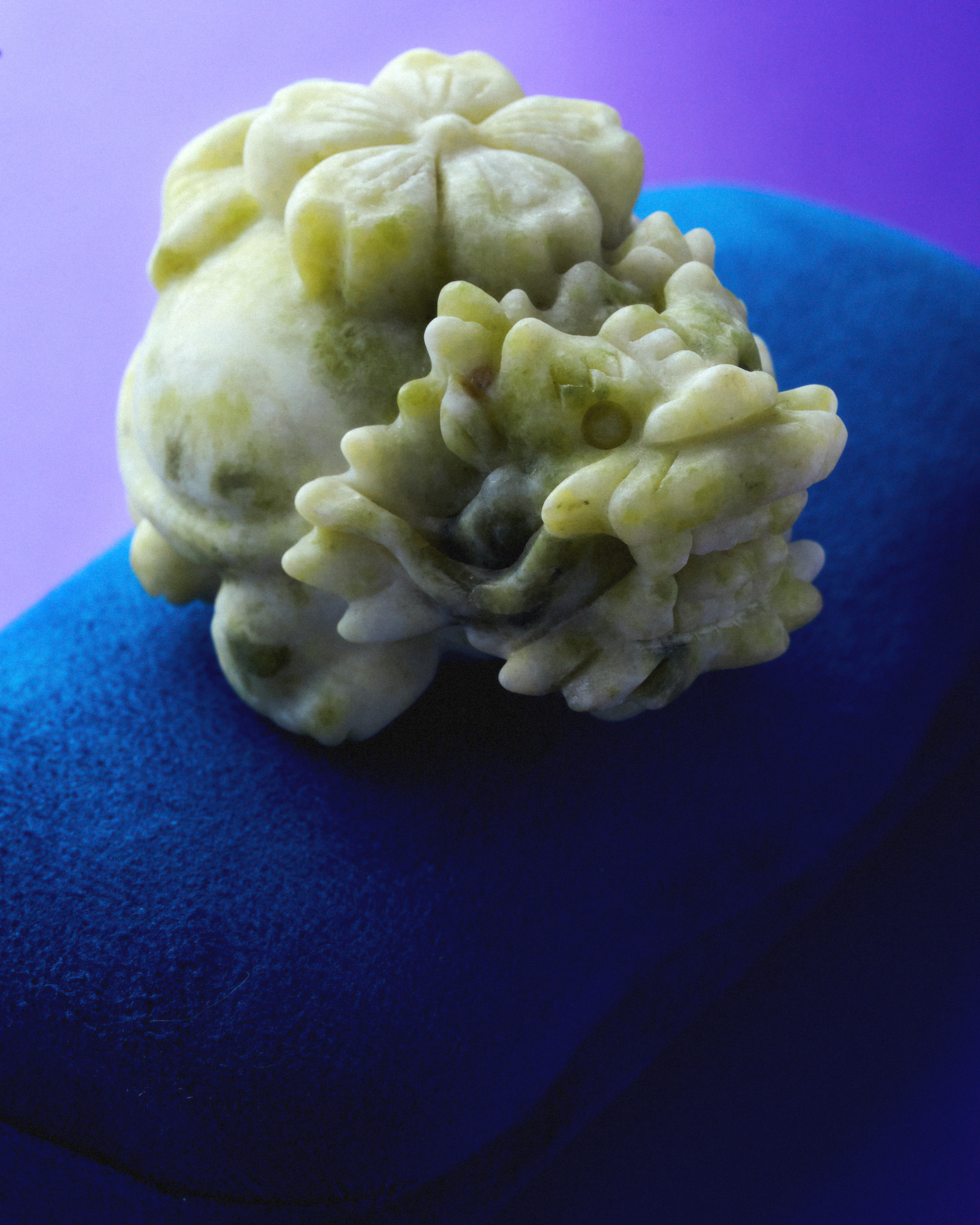 Life Element Dragon-Turtle