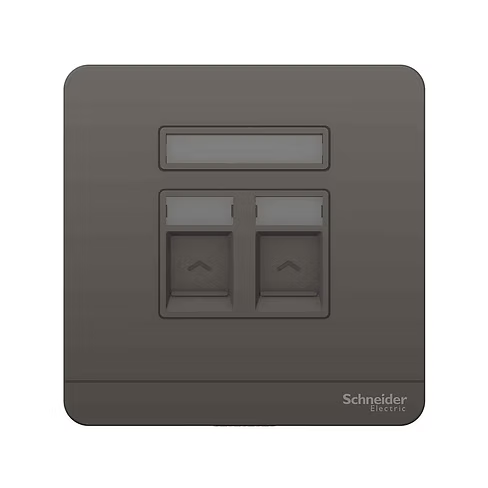 施耐德 AvatarOn 石墨灰 CAT3電話+CAT5E數據插座