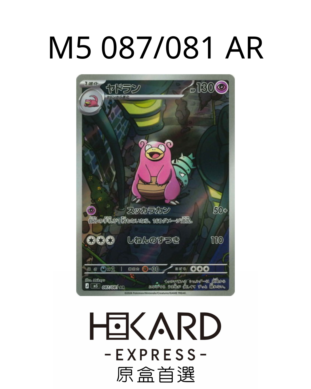 M5 087/081 AR