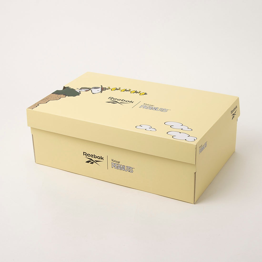 REEBOK x PEANUTS Pump Fury 94 **MESSAGE FIRST/先查詢貨存** (100271542)