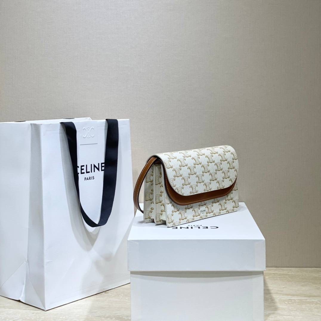 🔥大货实拍图 𝗖𝗘𝗟𝗜𝗡𝗘 ♥ 𝗖𝗔𝗡𝗩𝗔𝗦 𝗪𝗢𝗖风琴包 型号：10D852 尺寸：20*11.5cm