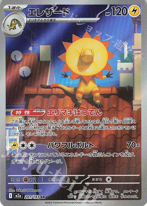 AR エレザード 201/193